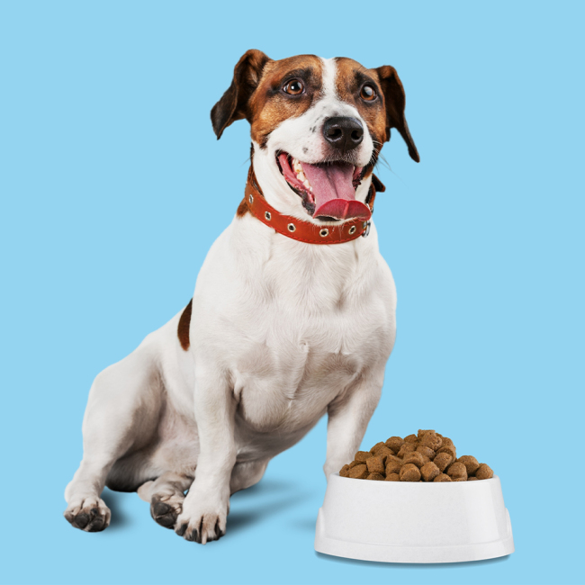 拼团、预售、批发、秒杀